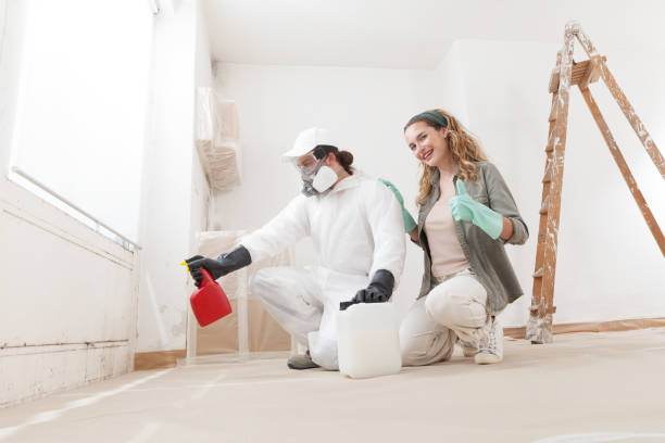 Mold Documentation for Insurance Claims in Fenton, MI